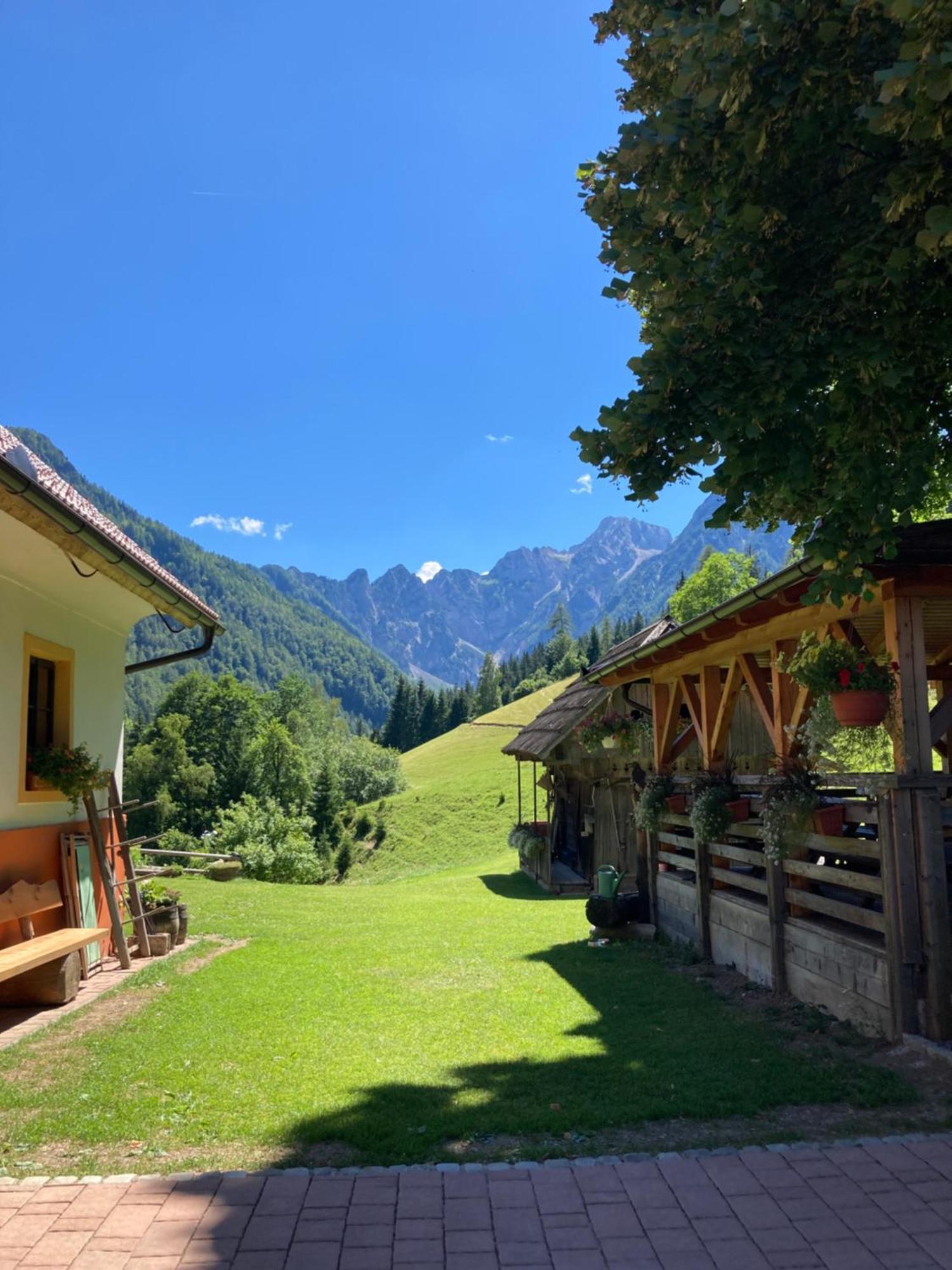 Tourist Farm Gradisnik Διαμέρισμα Solčava Εξωτερικό φωτογραφία