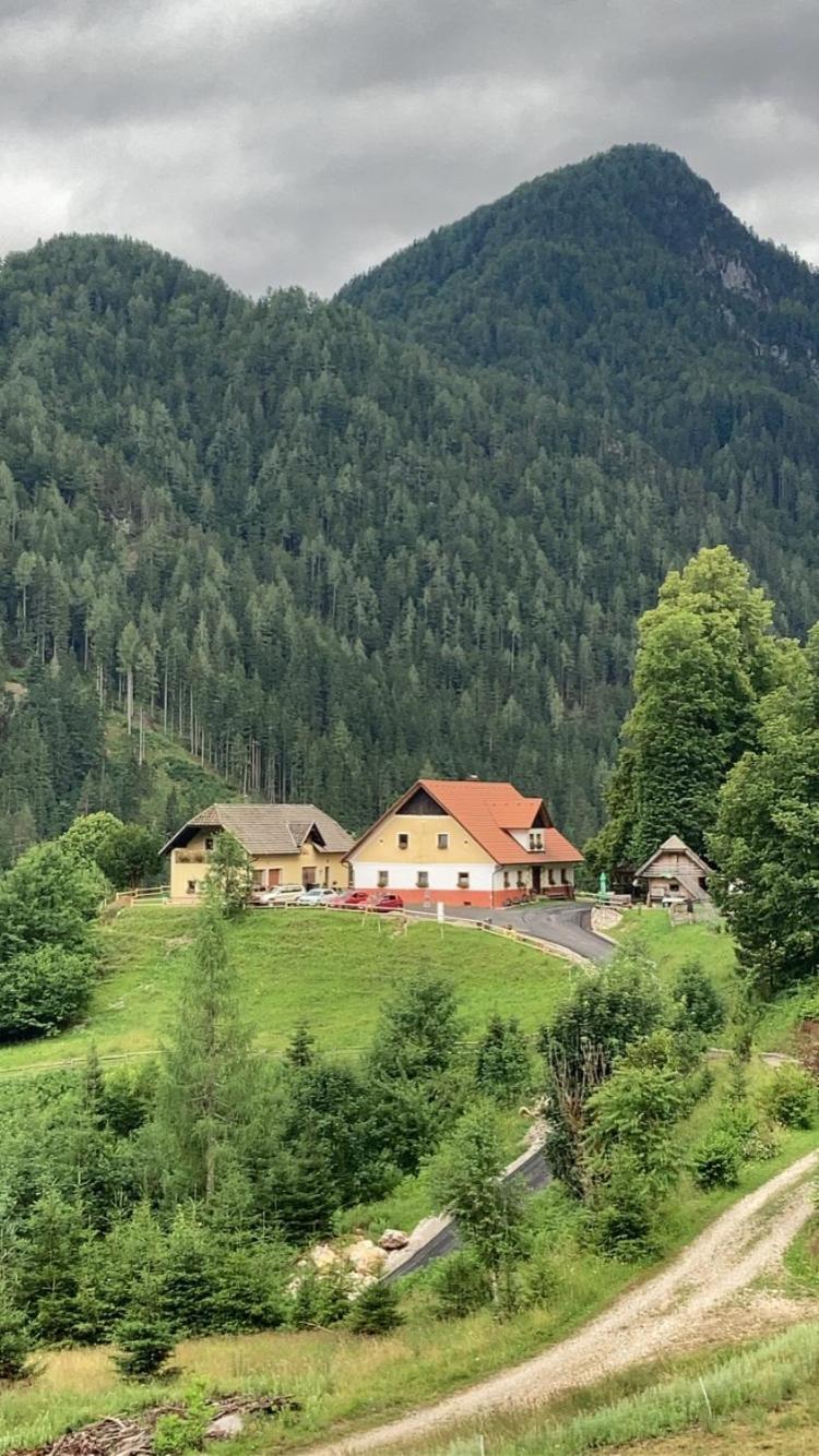 Tourist Farm Gradisnik Διαμέρισμα Solčava Εξωτερικό φωτογραφία