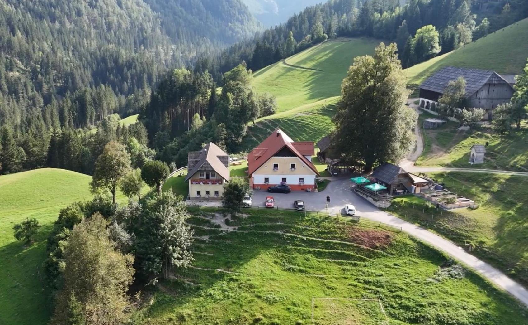 Tourist Farm Gradisnik Διαμέρισμα Solčava Εξωτερικό φωτογραφία