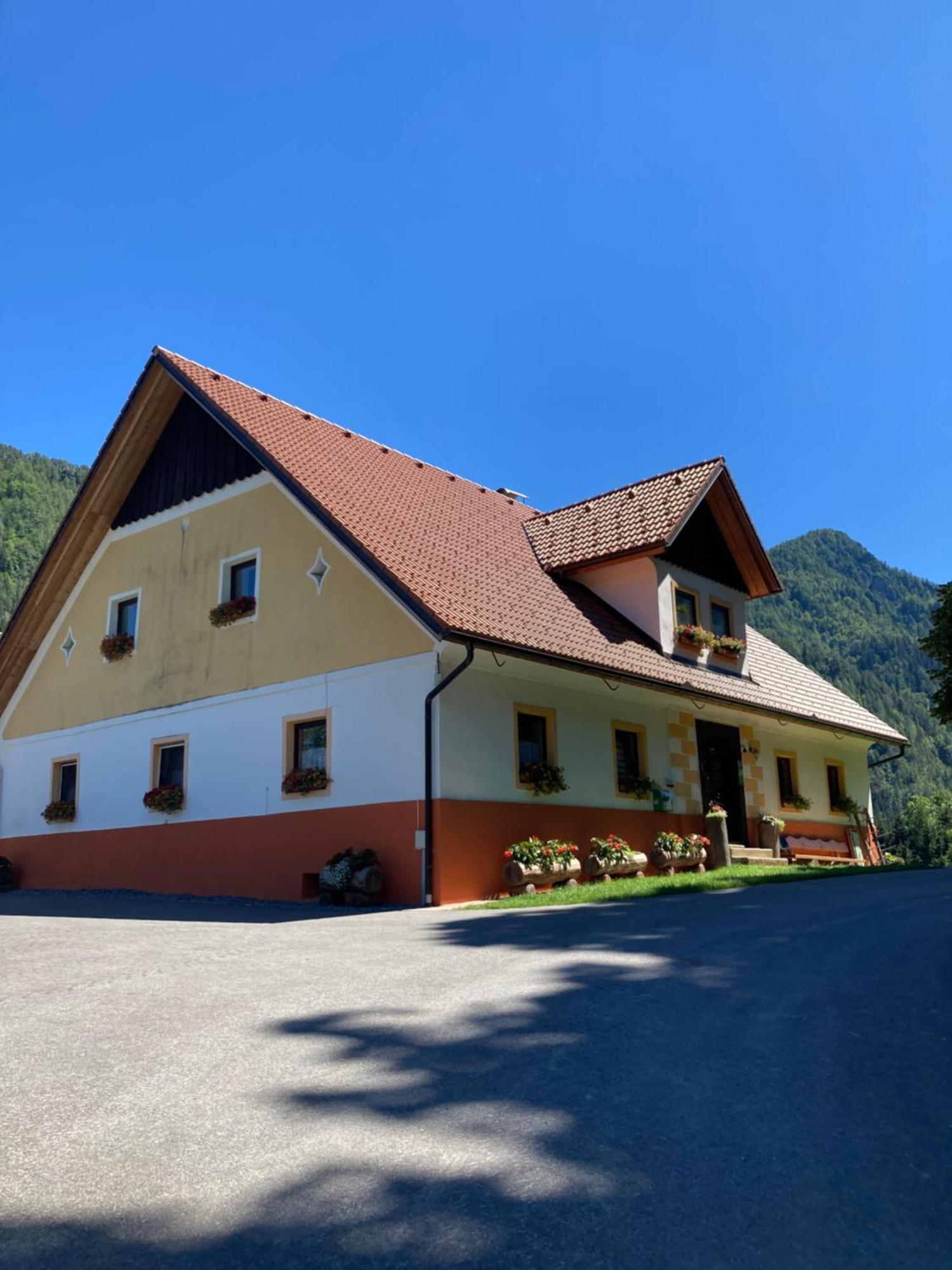 Tourist Farm Gradisnik Διαμέρισμα Solčava Εξωτερικό φωτογραφία