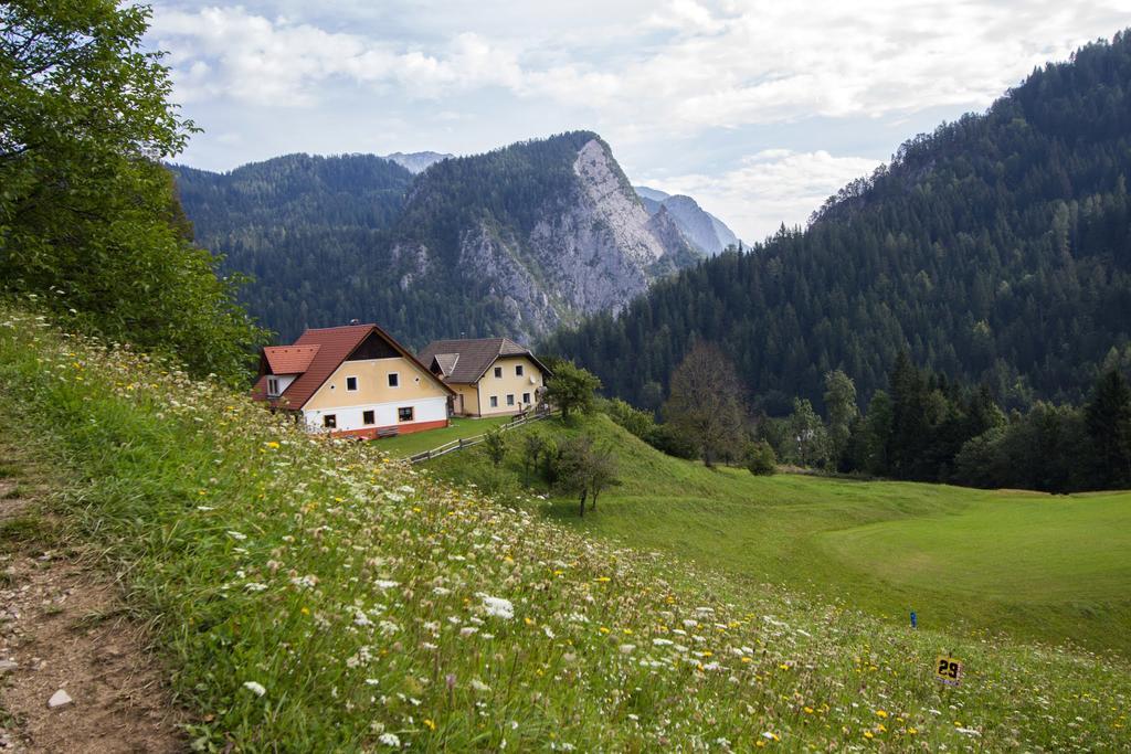 Tourist Farm Gradisnik Διαμέρισμα Solčava Εξωτερικό φωτογραφία
