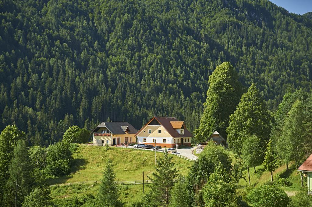 Tourist Farm Gradisnik Διαμέρισμα Solčava Εξωτερικό φωτογραφία