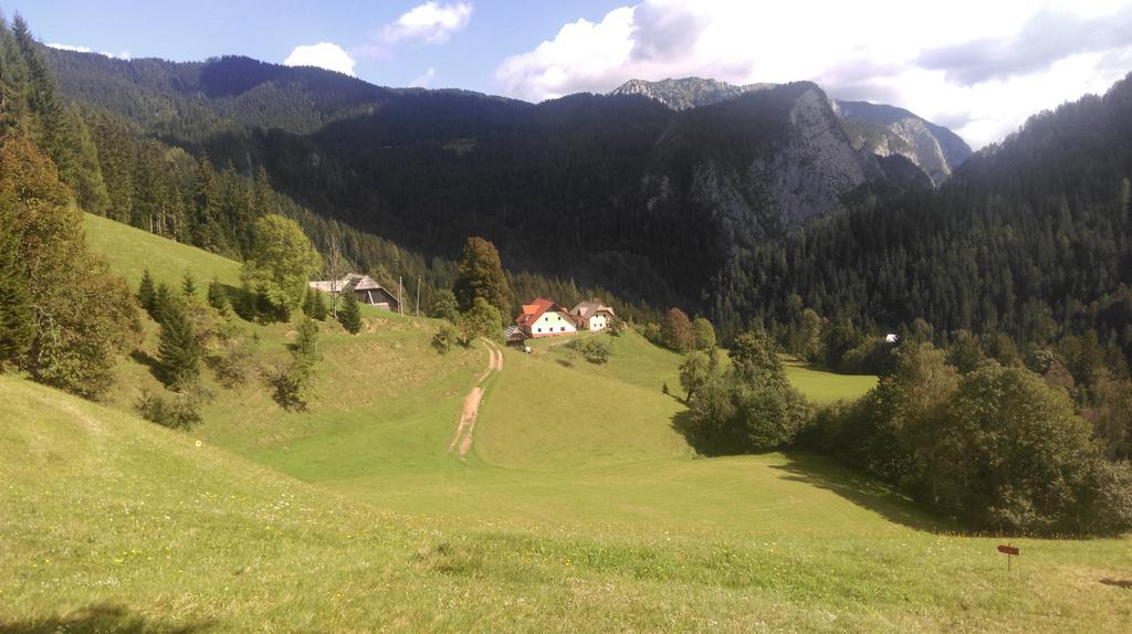 Tourist Farm Gradisnik Διαμέρισμα Solčava Εξωτερικό φωτογραφία