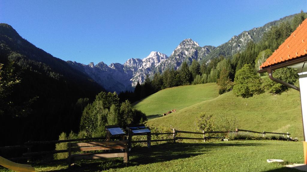 Tourist Farm Gradisnik Διαμέρισμα Solčava Εξωτερικό φωτογραφία