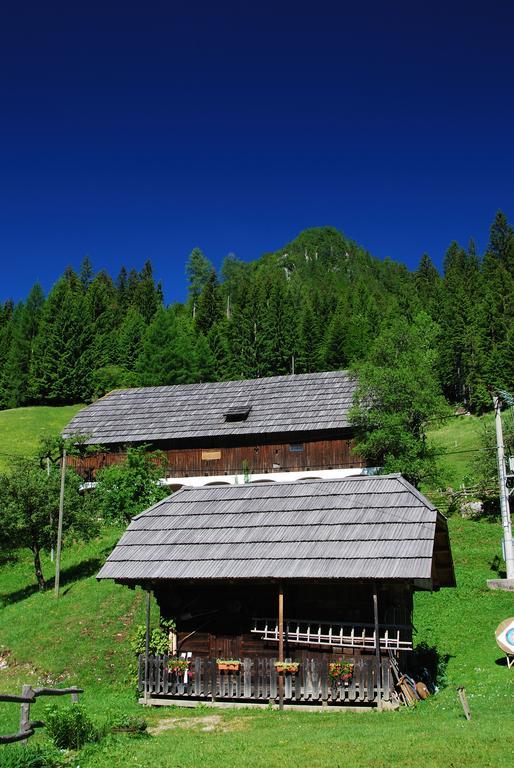 Tourist Farm Gradisnik Διαμέρισμα Solčava Εξωτερικό φωτογραφία