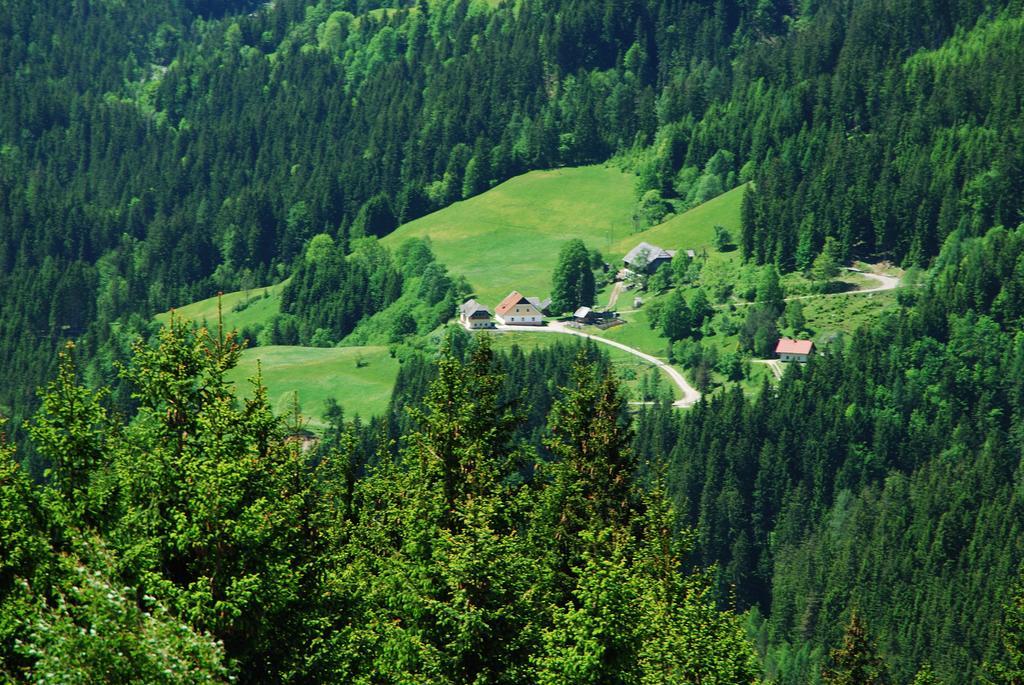 Tourist Farm Gradisnik Διαμέρισμα Solčava Εξωτερικό φωτογραφία